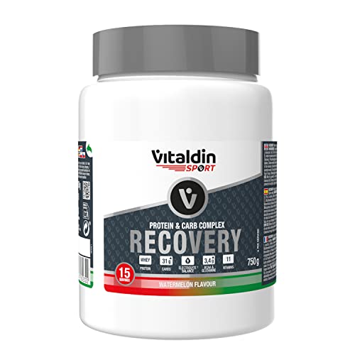 VITALDIN SPORT Protein & Carb Complex Recovery – Bebida polvo con Proteína Whey, Carbohidratos, Electrolitos, BCAA, Glutamina, Vitaminas – Recuperador Energético y Muscular, Sandía – 750g