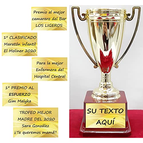 dolarestore Copa Trofeo con Textos Personalizados Especial para Regalo Base imitación Madera 11x20 cm